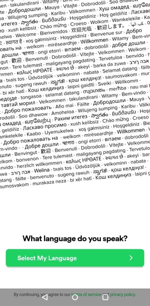 LangLang welcome screen with Select My Language button